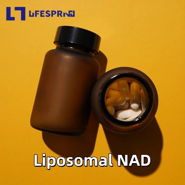 Liposomal NAD 