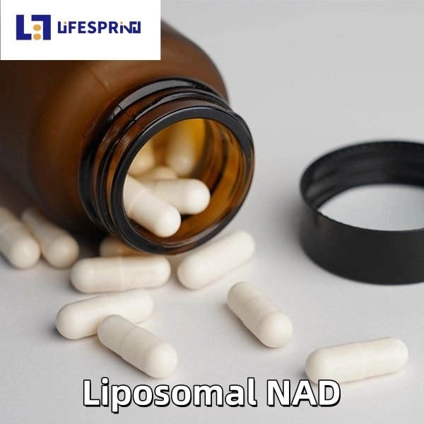 Liposomal NAD 
