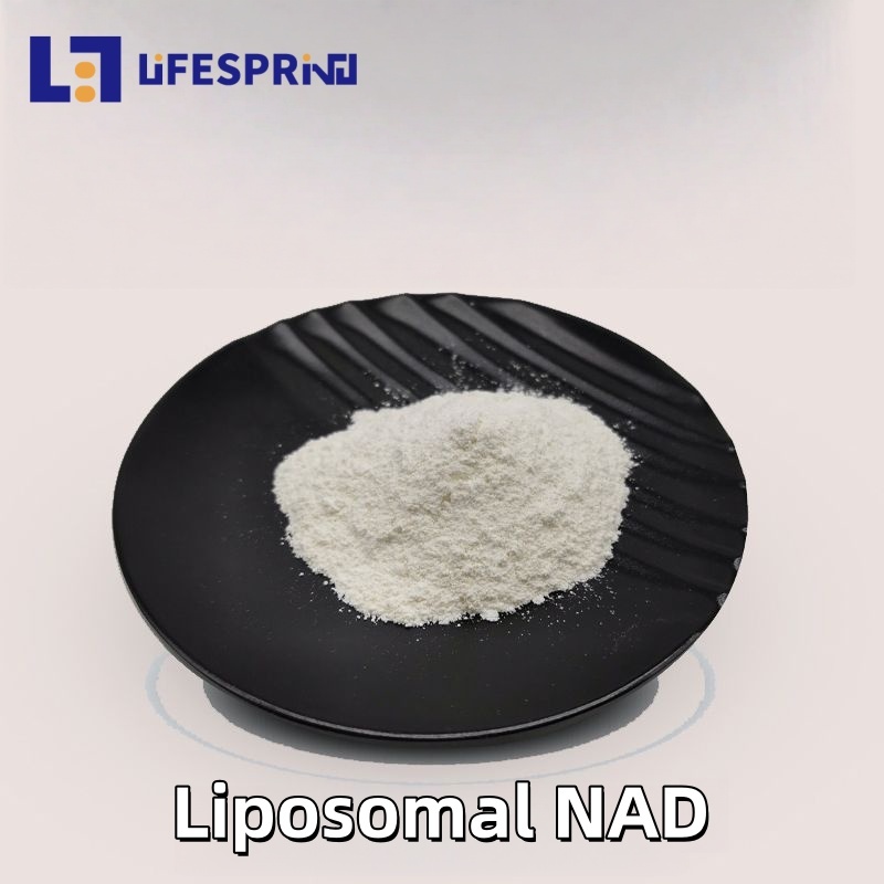 Liposomal NAD 