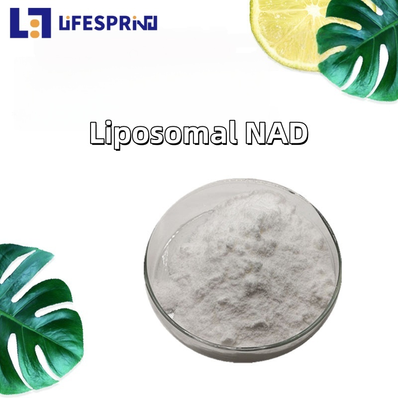 Liposomal NAD 