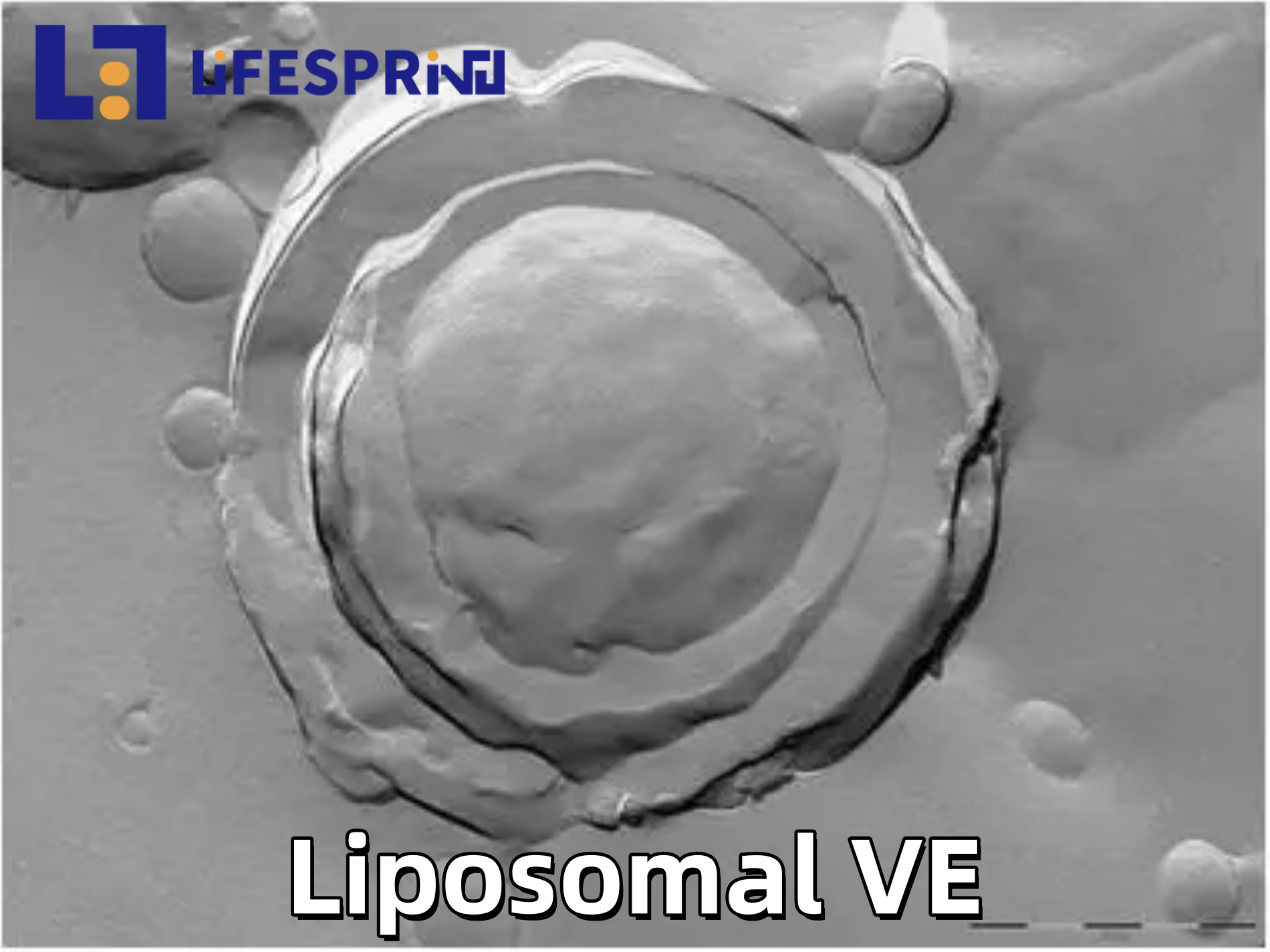 Liposomal Vitamin E