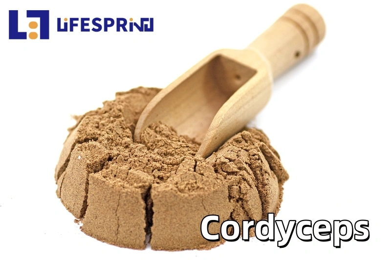 Cordyceps Extract