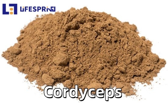 Cordyceps Extract
