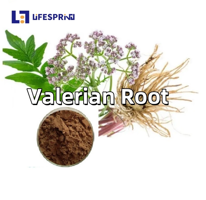 Valerian Root