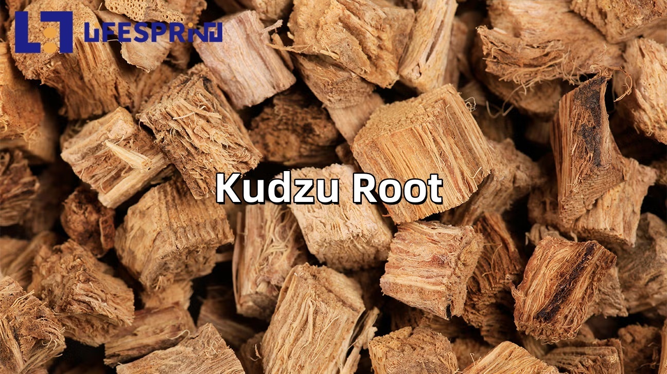 Kudzu Root Extract