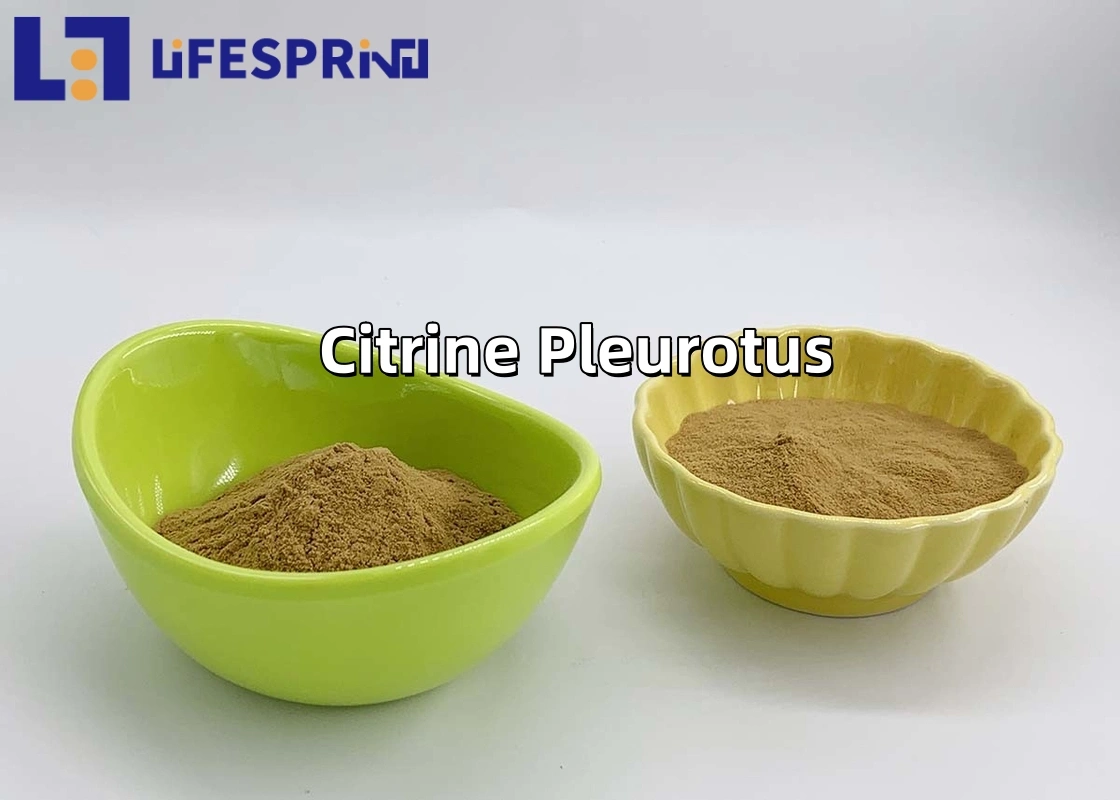 Cordyceps Extract