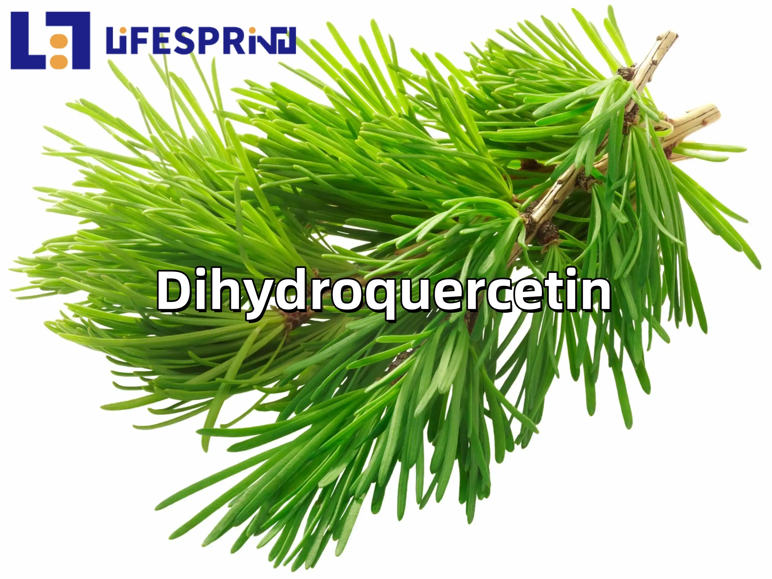 Dihydroquercetin 