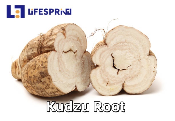 Kudzu Root Extract