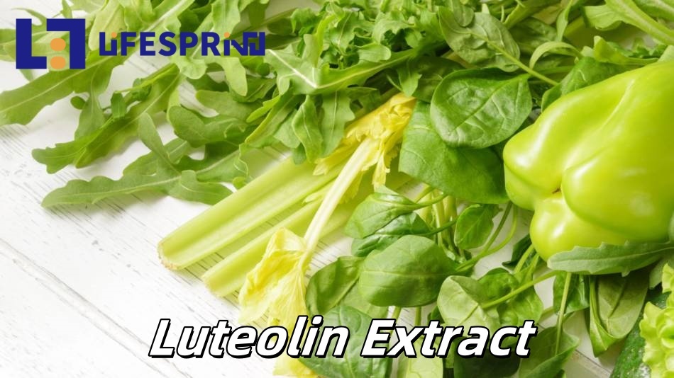 Luteolin Extract