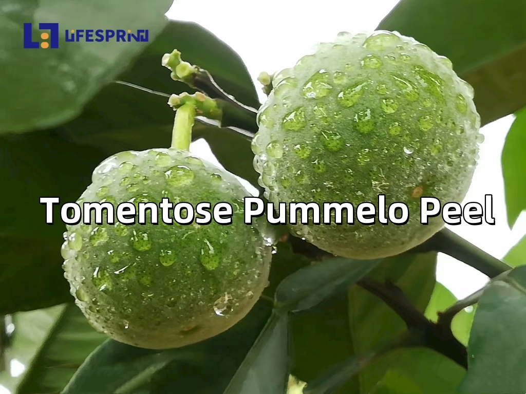 Tomentose Pummelo Peel