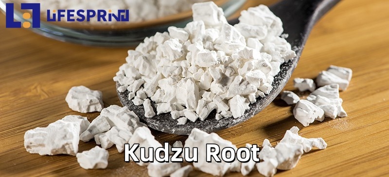 Kudzu Root Extract