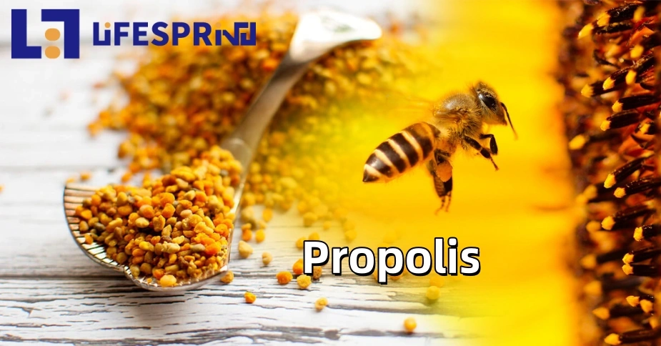 Propolis Powder
