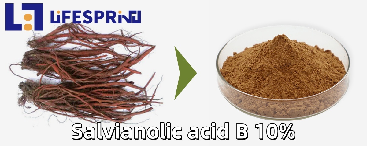 Salvianolic Acid B 10%