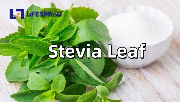 Stevia Leaf