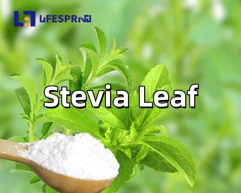 Stevia Leaf