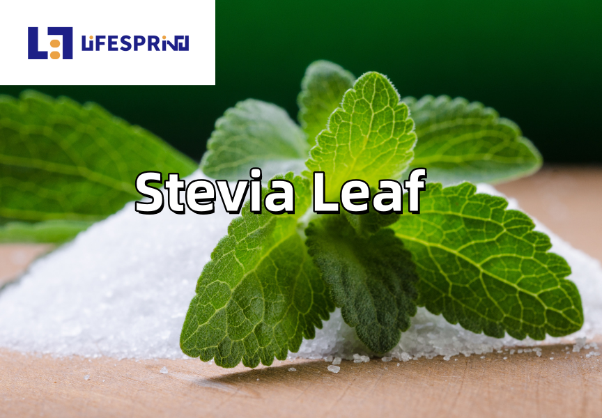 Stevia Leaf