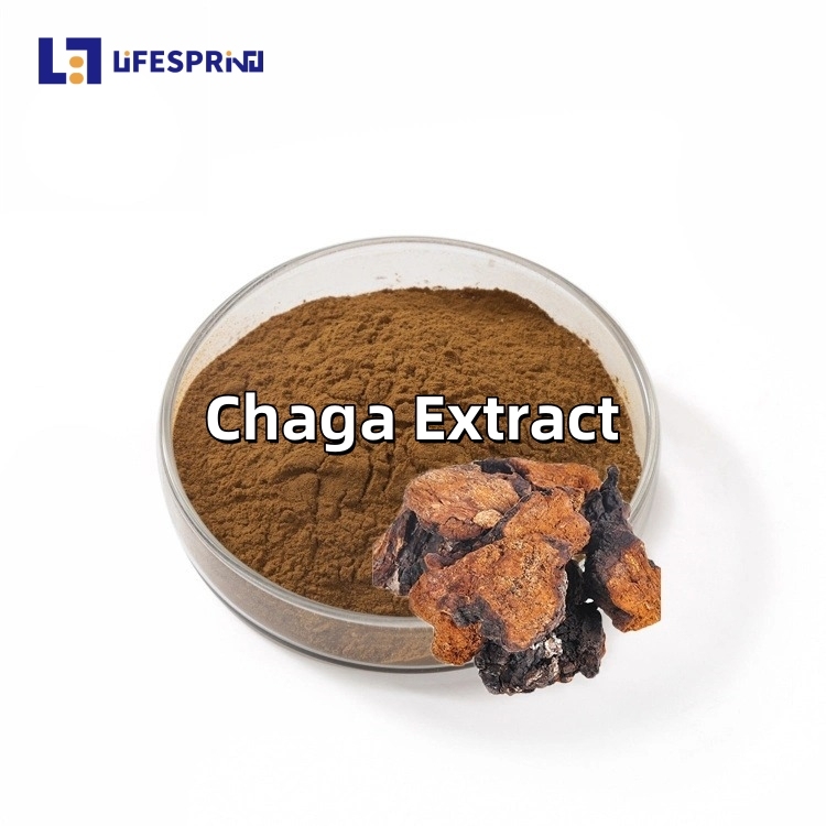 Chaga Extract