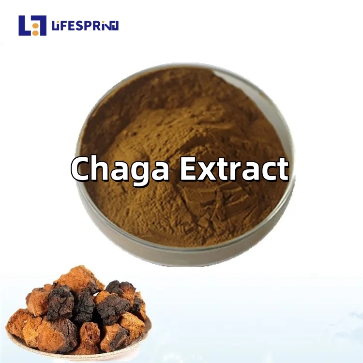 Chaga Extract