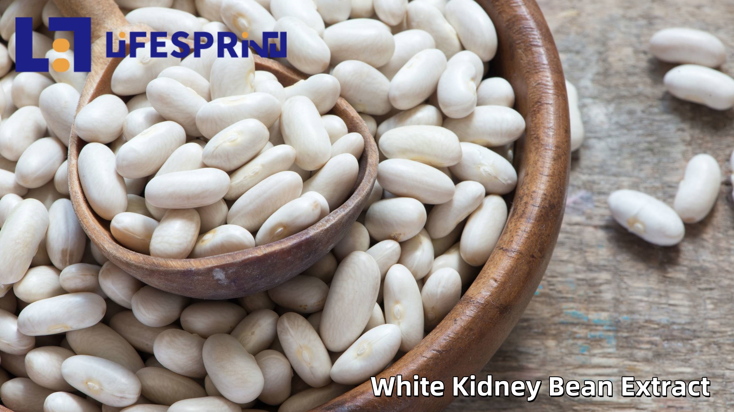 White Kidney Bean Extract