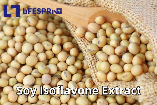 Soy Isoflavone Extract