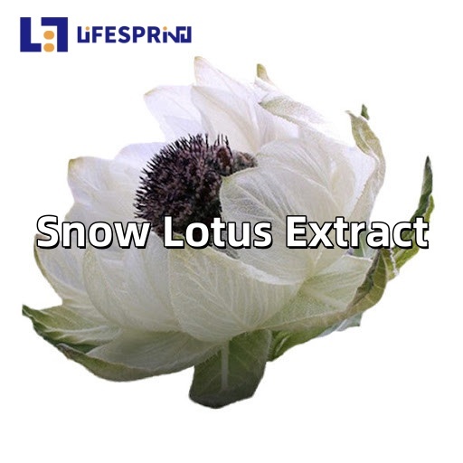Snow Lotus Extract