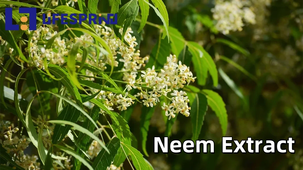 Neem Extract