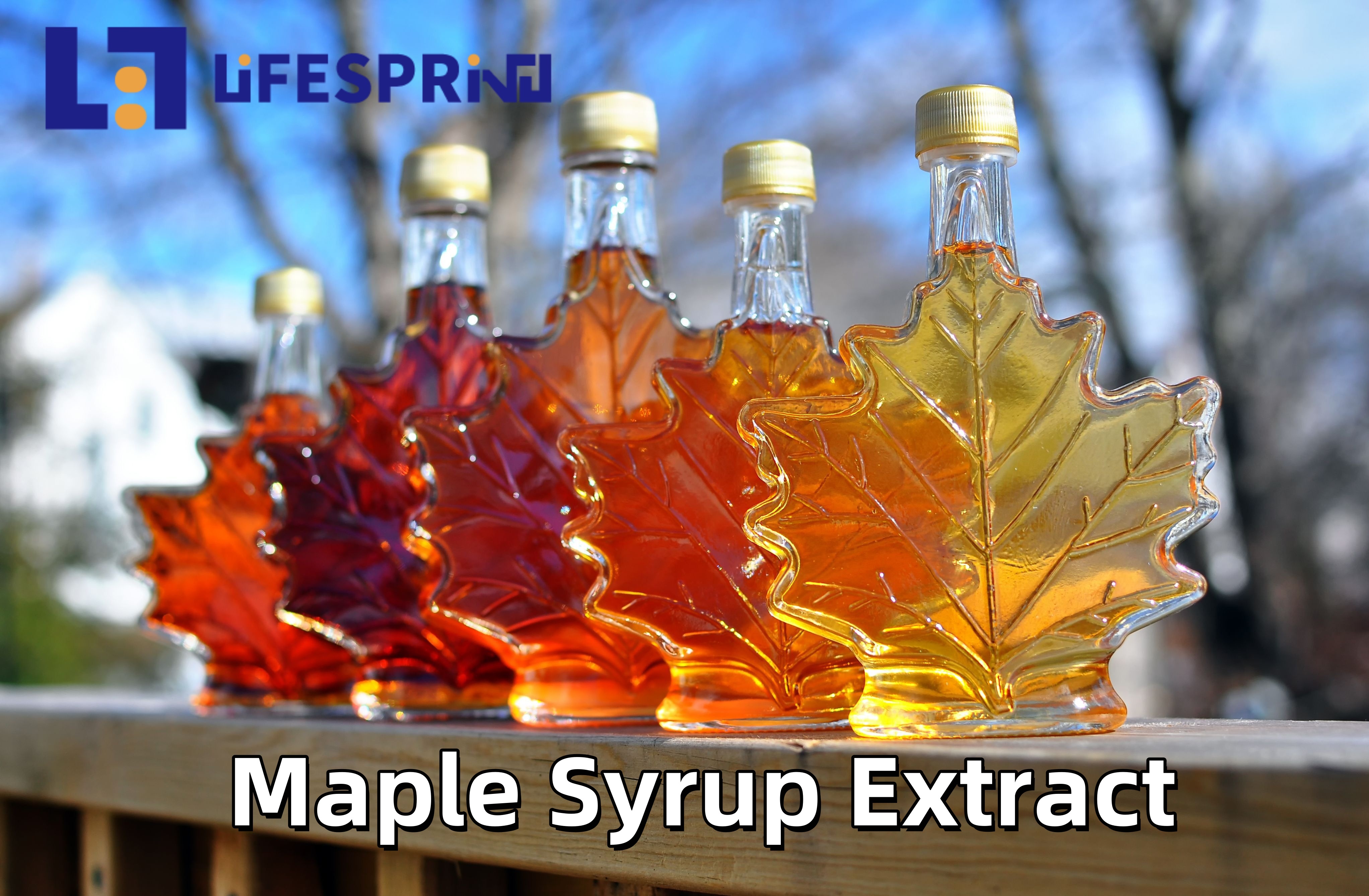 Maple Syrup Extract