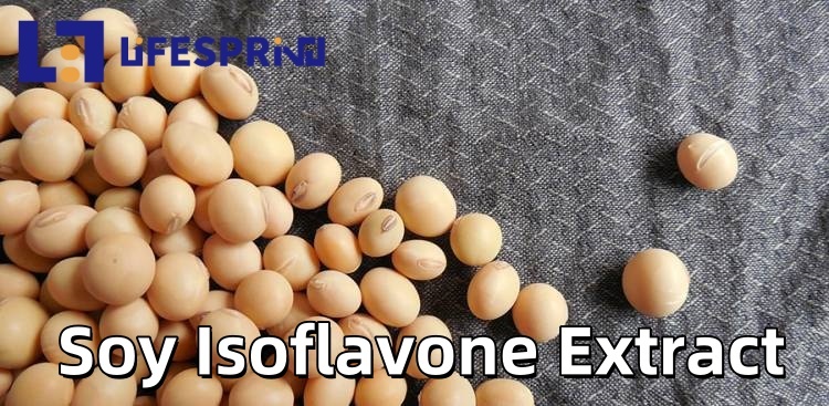 Soy Isoflavone Extract