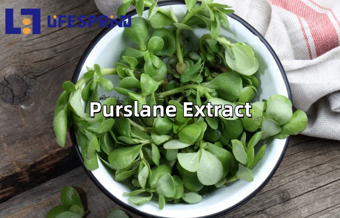 Purslane Extract