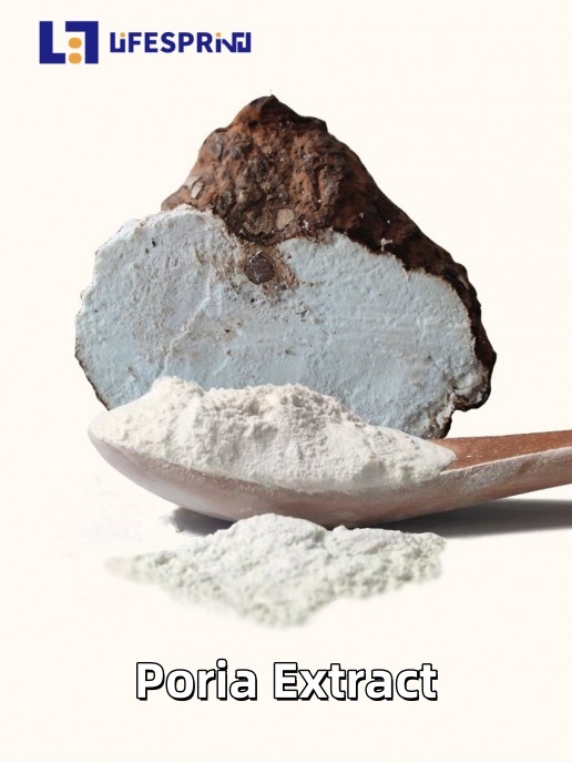 Poria Extract