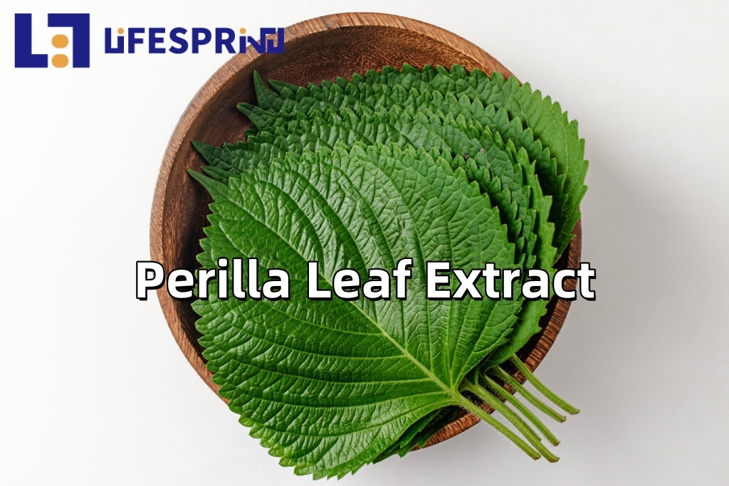 Perilla Leaf Extract