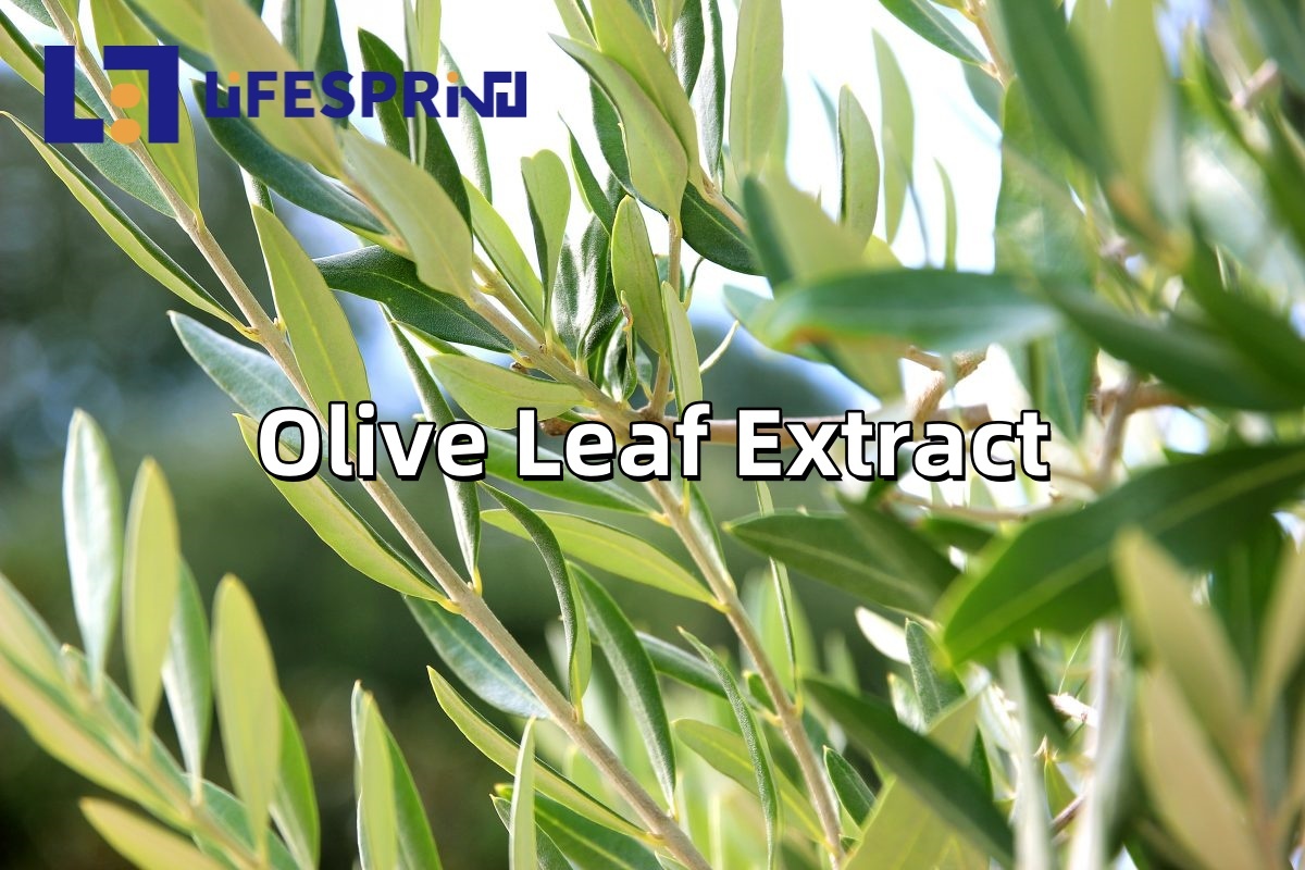 Olive Leaf Extract