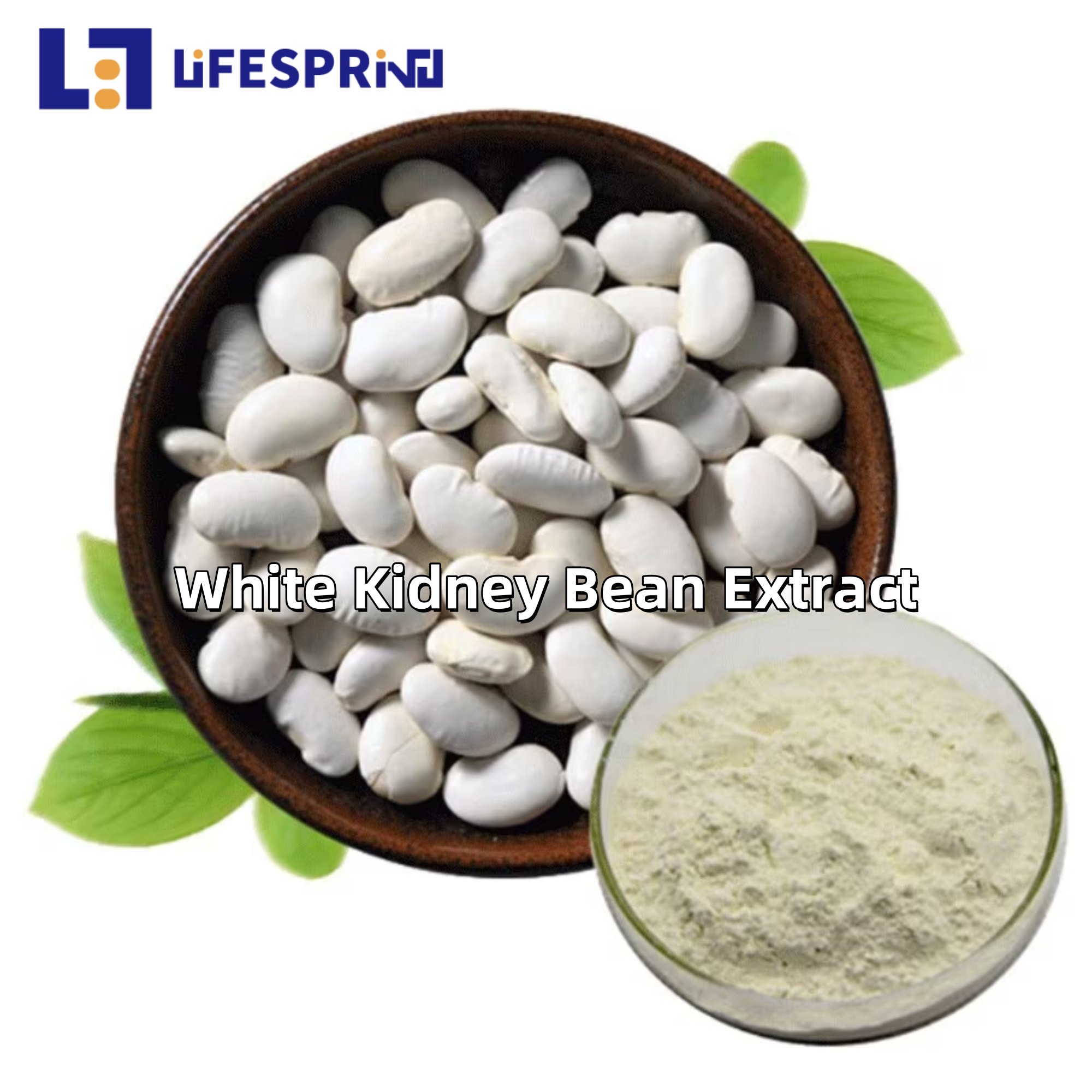 White Kidney Bean Extract
