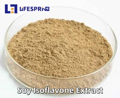 Soy Isoflavone Extract