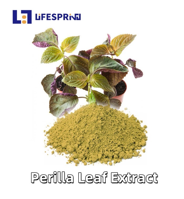 Perilla Leaf Extract