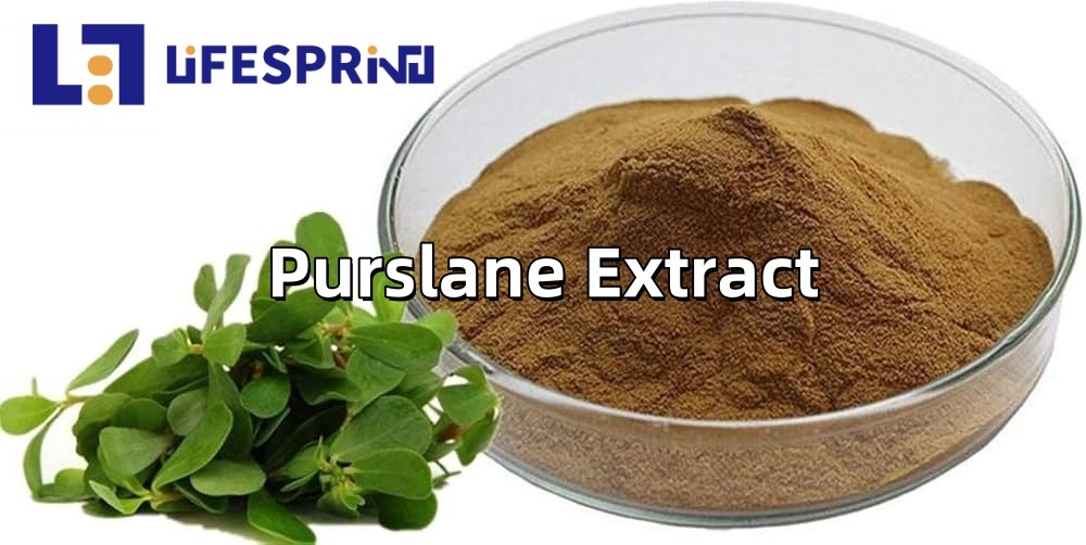 Purslane Extract