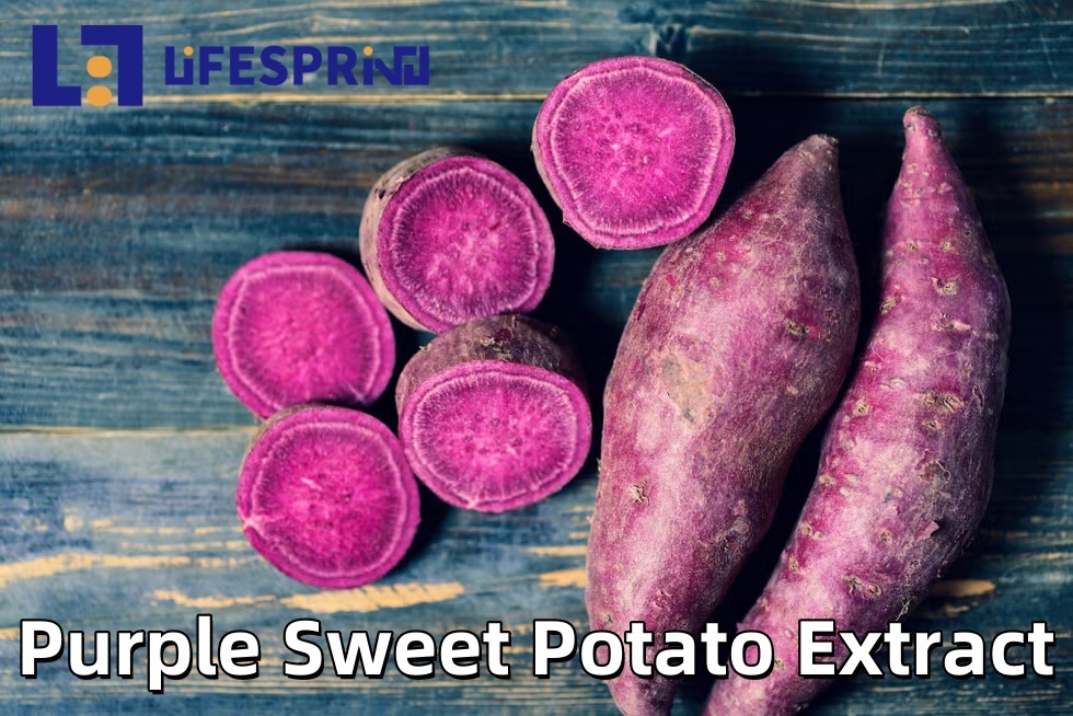 Purple Sweet Potato Extract