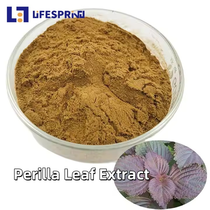 Perilla Leaf Extract