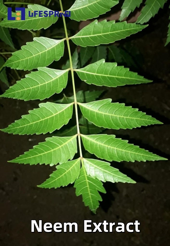 Neem Extract