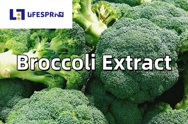 Broccoli Extract