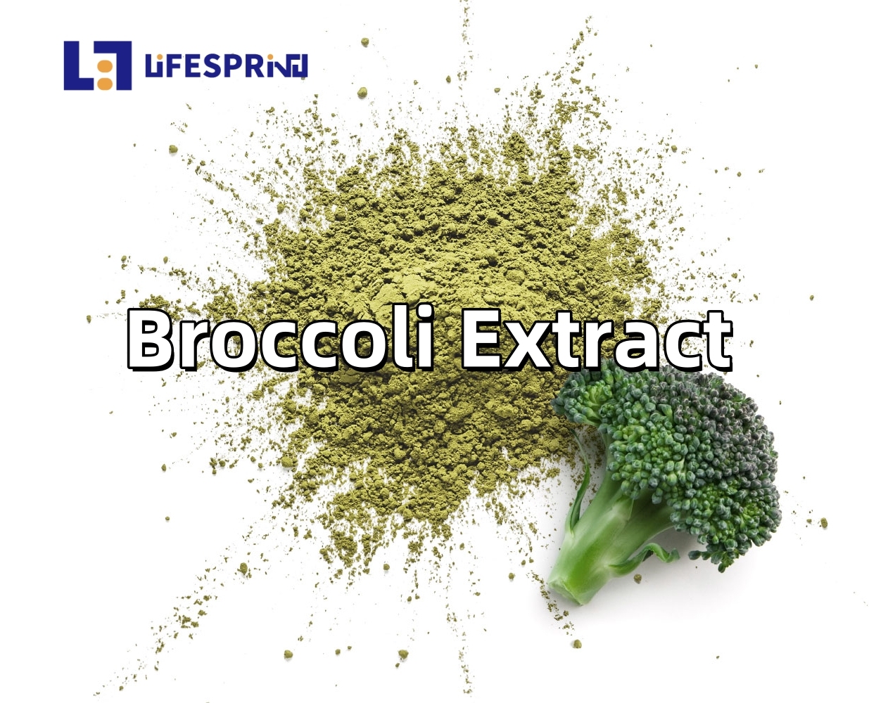 Broccoli Extract