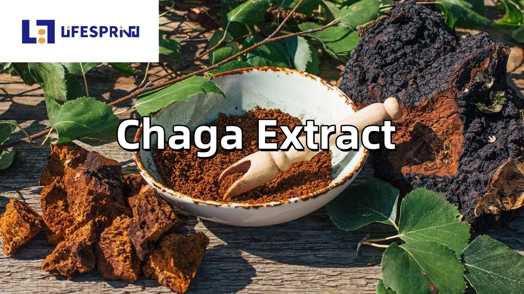 Chaga Extract