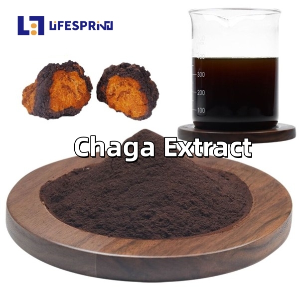 Chaga Extract