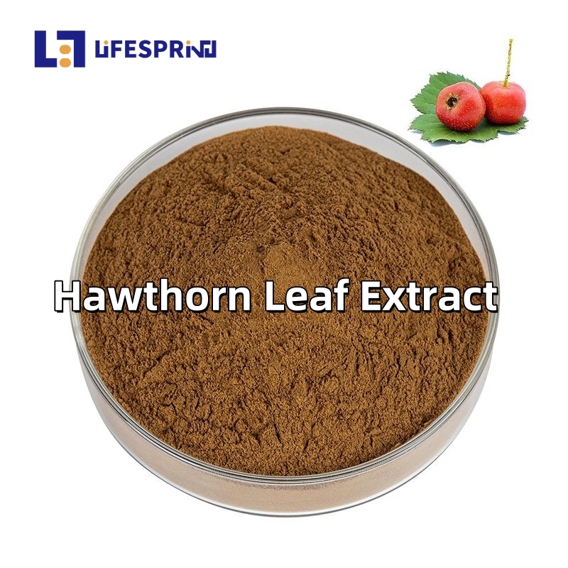 Hawthorn Leaf Extract