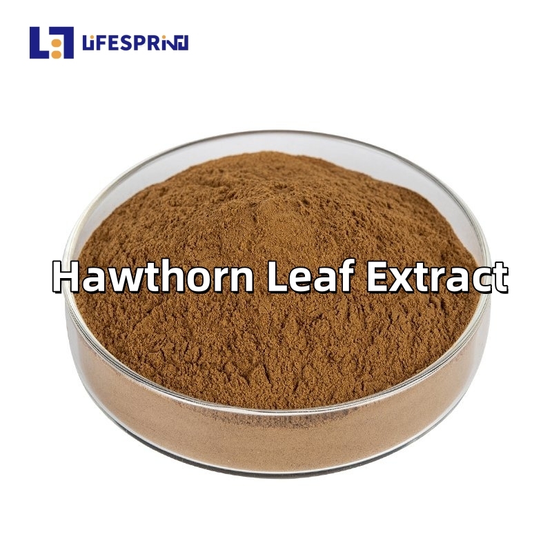Hawthorn Leaf Extract