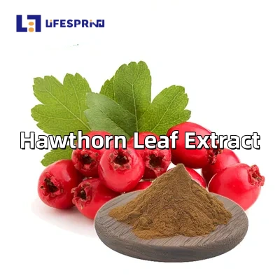 Hawthorn Leaf Extract
