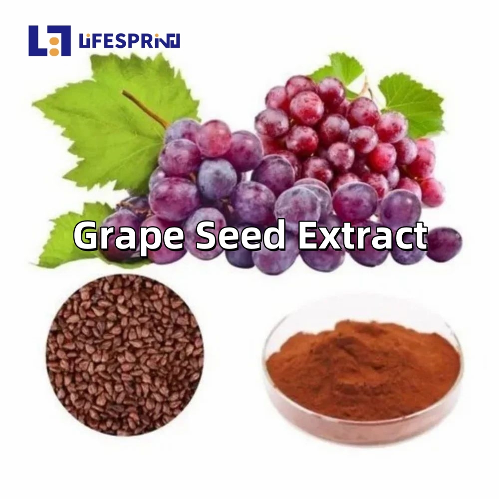 Grape Seed Extract