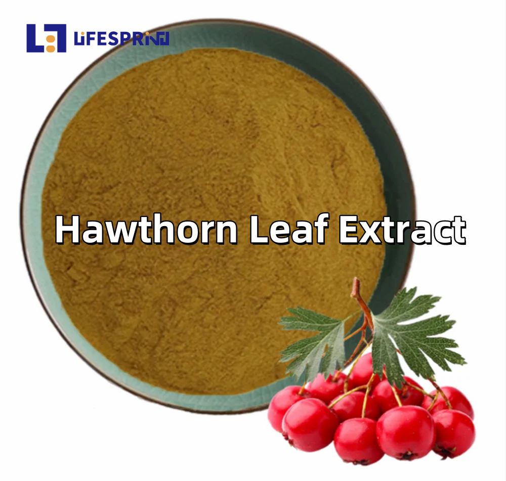 Hawthorn Leaf Extract