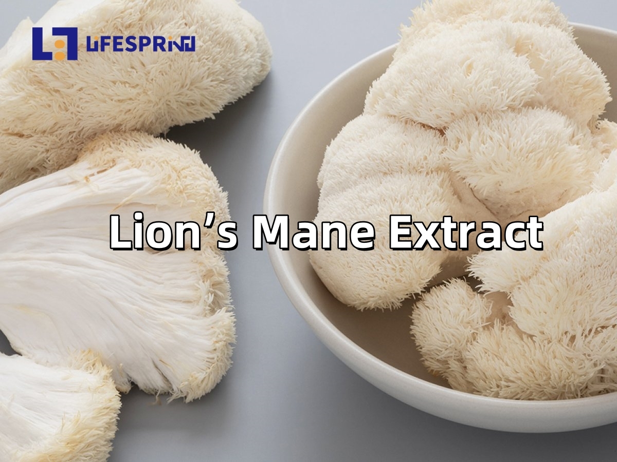 Lion’s Mane Extract