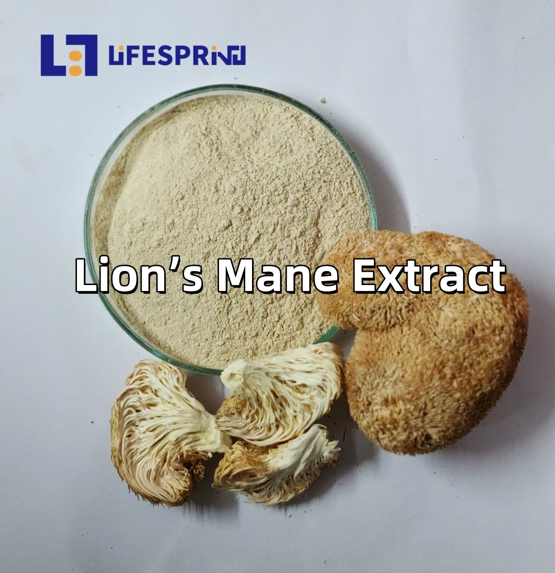 Lion’s Mane Extract